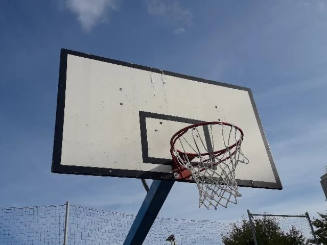 Profile of the basketball court Henry Legay Court, Villeurbanne, France