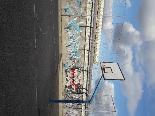 Profile of the basketball court Henry Legay Court, Villeurbanne, France