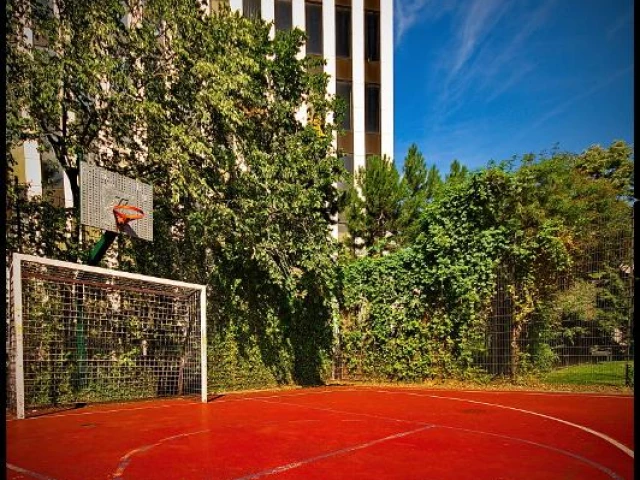 Profile of the basketball court Le Jardin botanique, Brussels, Belgium