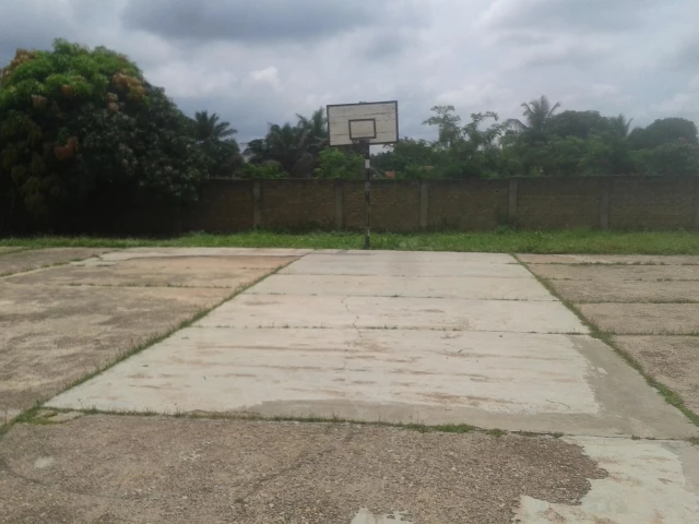 View of court with east hoop and tropical landscape