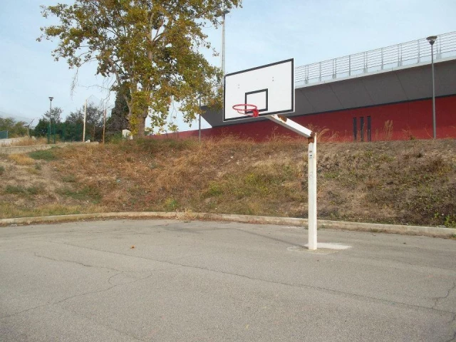 north basketball panel