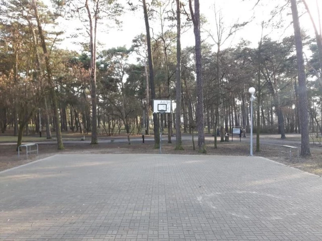 Profile of the basketball court Boisko w Parku Załuskiego, Bydgoszcz, Poland