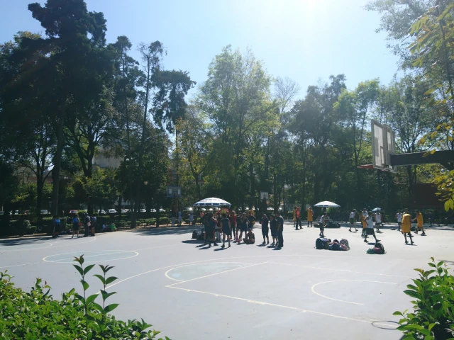 Profile of the basketball court Parque Pilares, Mexico City, Mexico