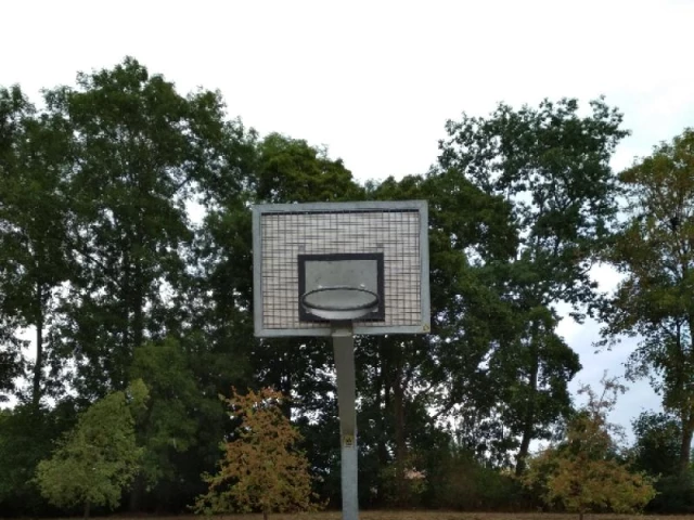 Profile of the basketball court Schwanenteich Asphaltplatz, Giessen, Germany