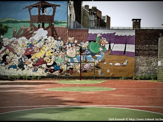 Profile of the basketball court Parc Asterix, Bruxelles, Belgium