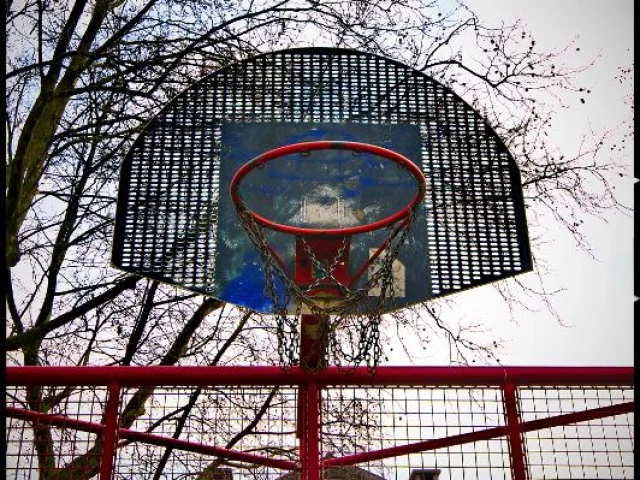 Profile of the basketball court Porte d'Anderlecht, Bruxelles, Belgium