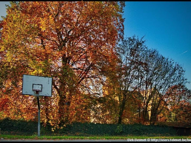 Profile of the basketball court Essenbeek Downtown City, Halle, Belgium
