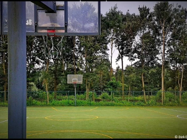 Profile of the basketball court A Court in a Forest, Geraardsbergen, Belgium