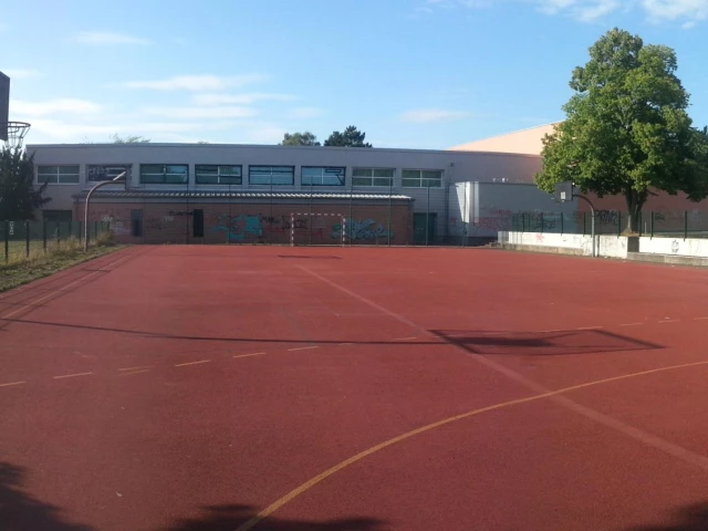 Profile of the basketball court Court Büdingen Schule, Büdingen, Germany