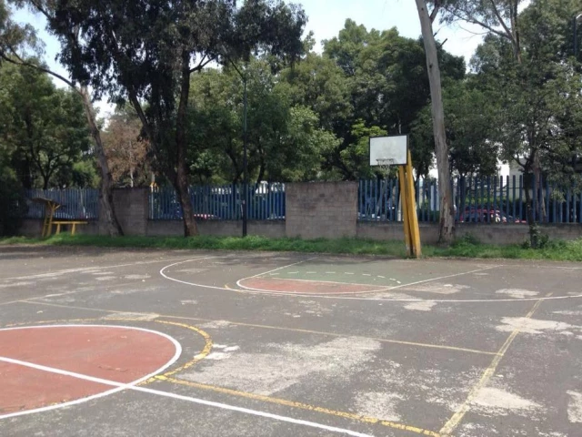 Profile of the basketball court Deportivo Jesús Clark Flores, Ciudad de México, Mexico
