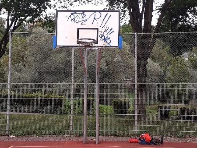 Profile of the basketball court Am Neckarspitz, Tübingen, Germany