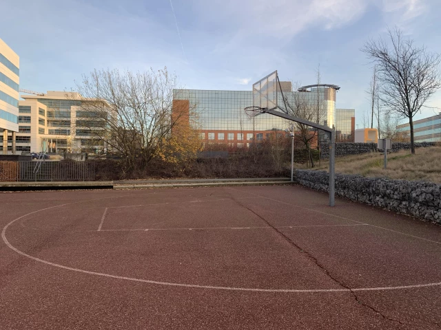 Profile of the basketball court Pegasus Park, Machelen, Belgium