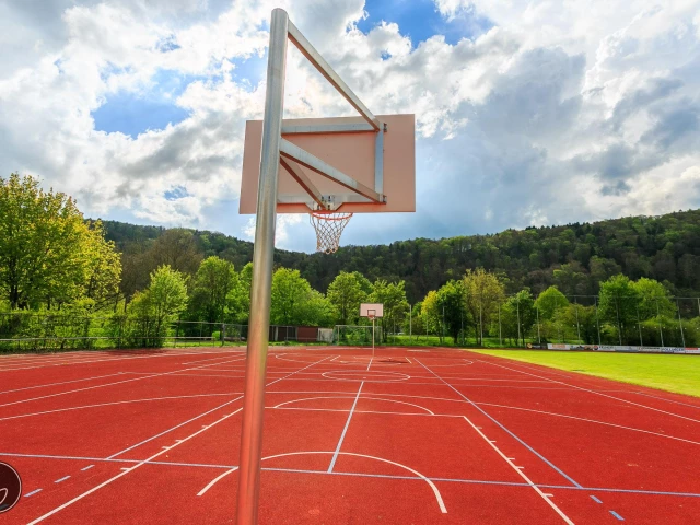 Profile of the basketball court Riedenburg / Johann-Simon Mayer, Riedenburg, Germany