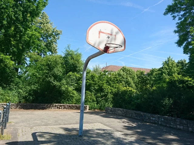Basket (only one)