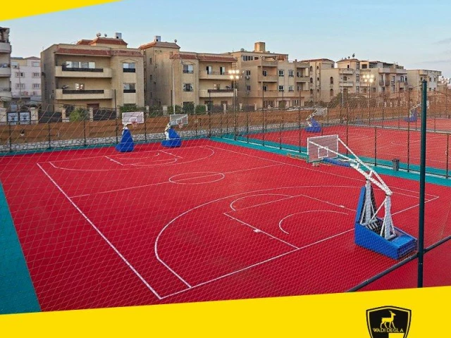 Profile of the basketball court Wadi Degla Sporting Club, Cairo, Egypt