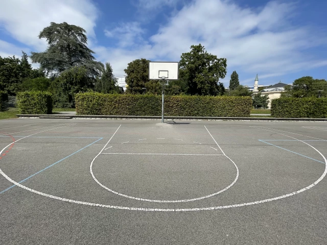 Profile of the basketball court Trembley, Geneva, Switzerland