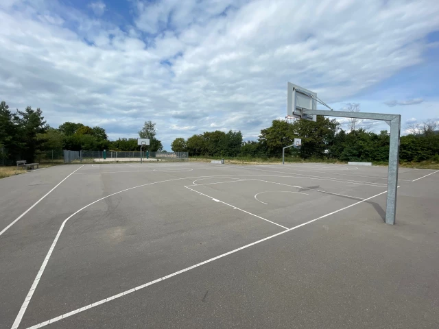 Profile of the basketball court Gymnasium Achern, Achern, Germany