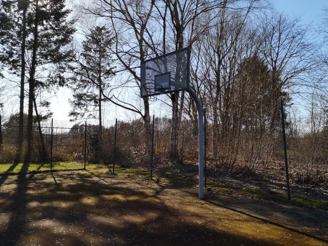 Profile of the basketball court Kreuzweg 29, Salzhausen, Germany