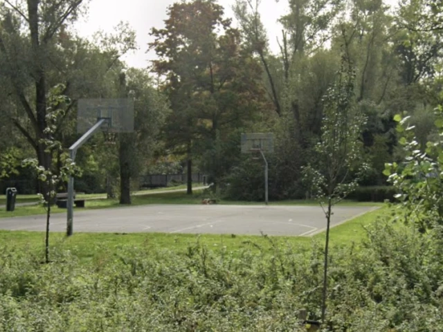 Profile of the basketball court Driebeek Bball Court, Gent, Belgium