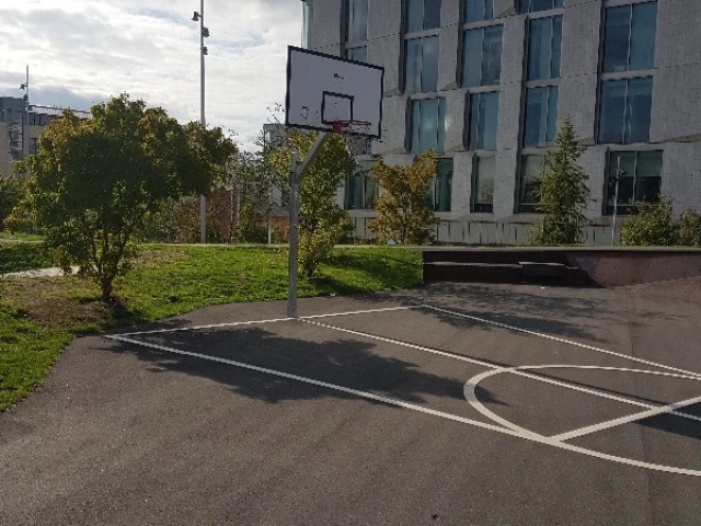 1 basket, small court