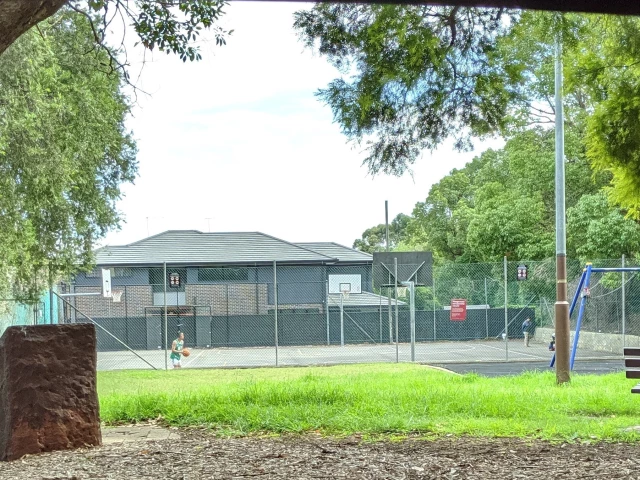 Profile of the basketball court Bill Peters Reserve, Ashfield, Australia