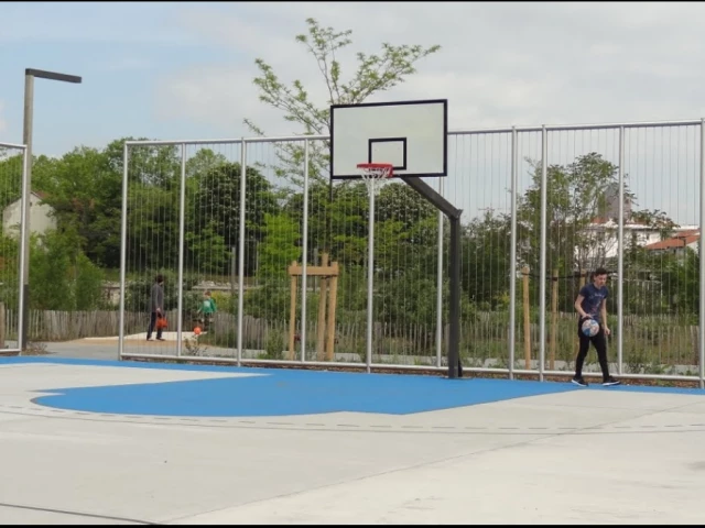 Profile of the basketball court Parc Blandan, Lyon-7E-Arrondissement, France