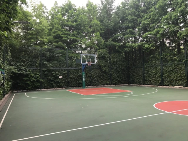 Profile of the basketball court Zhongxing Basketball Court, Shanghai, China