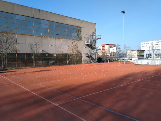 Profile of the basketball court Gym Muttenz, Muttenz, Switzerland