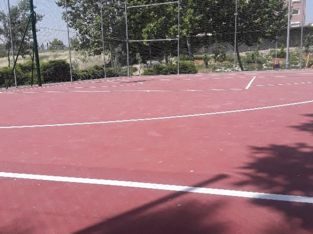Profile of the basketball court Fxlcon's court, Boadilla del Monte, Spain