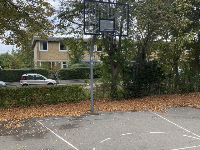 Profile of the basketball court Bispebjerg Parkalle basketbane, København, Denmark