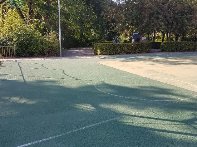 Profile of the basketball court Green, Frederiksberg, Denmark