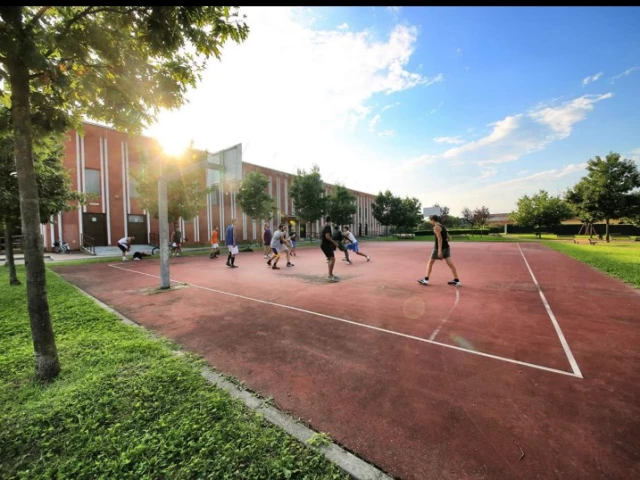 Profile of the basketball court Pala Pregnolato, Vercelli, Italy