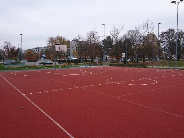 Profile of the basketball court Sporthalle Birr, Birr, Switzerland