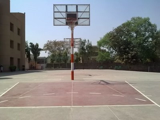 Profile of the basketball court St. Michael School, New Delhi, India