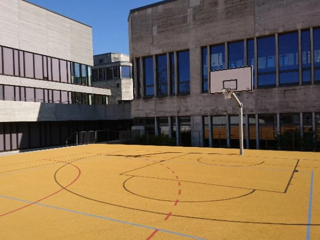 Profile of the basketball court Liestal Gymnasium, Liestal, Switzerland
