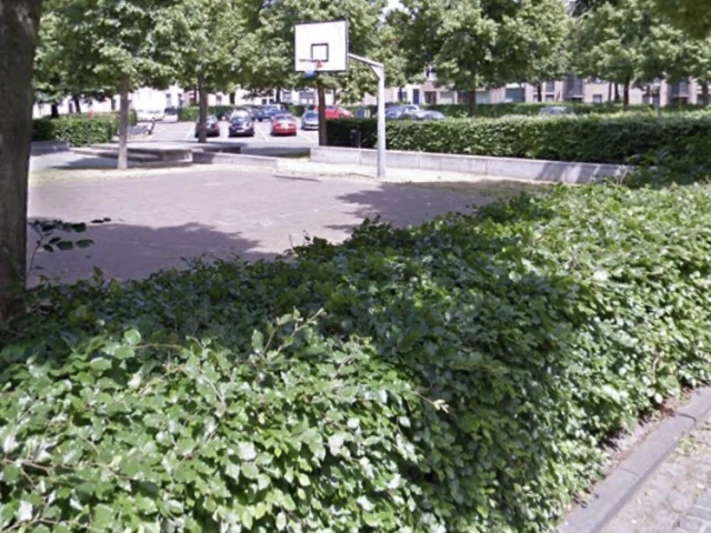 Profile of the basketball court Sint Macharius court, Gent, Belgium