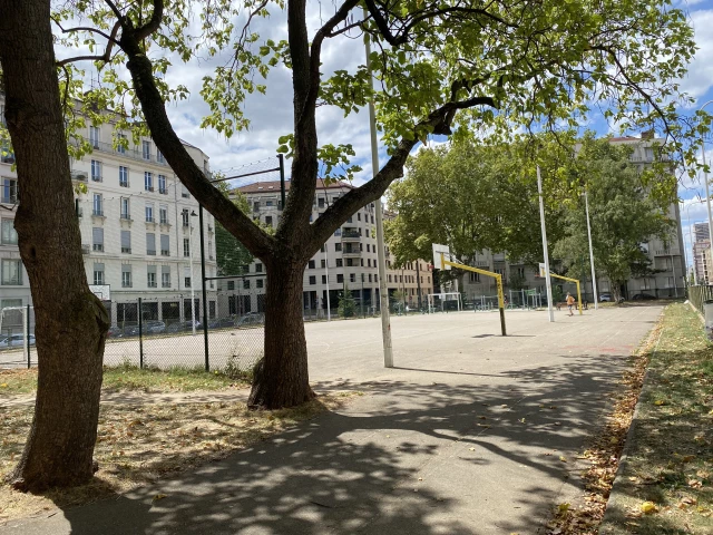 Profile of the basketball court Lycée du parc, Lyon, France