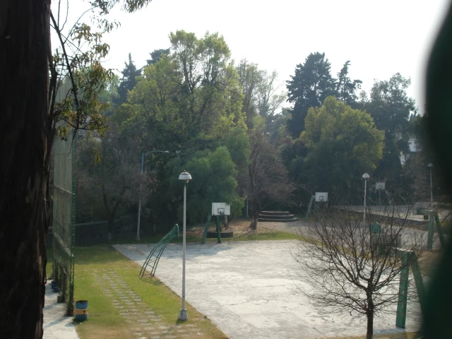 The basketball yards in a beautiful park in Mexico City.