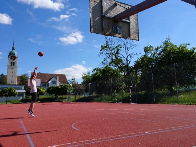 Profile of the basketball court Schule Seengen, Seengen, Switzerland