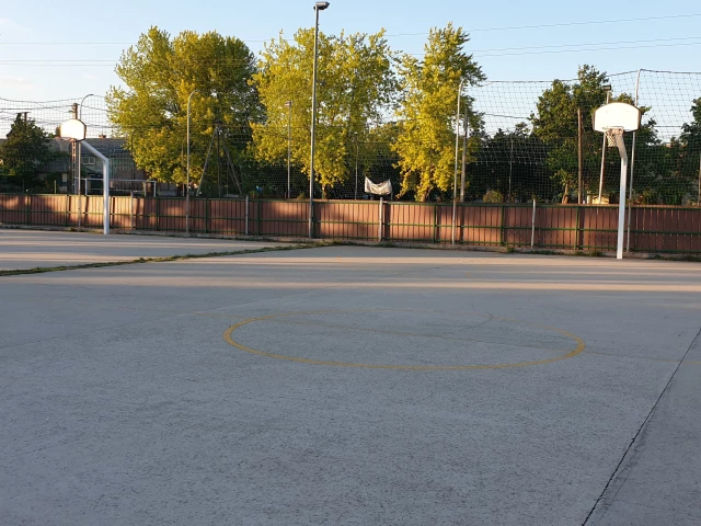 Profile of the basketball court Tulipan street, Sóskút, Hungary