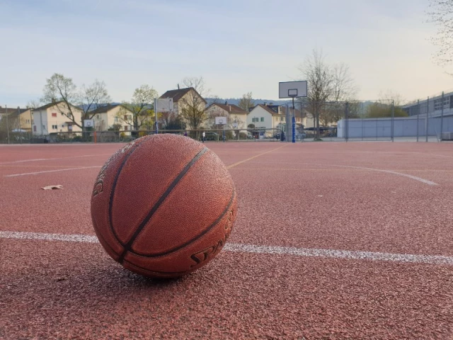 Profile of the basketball court Bezirksschule Wettingen, Wettingen, Switzerland