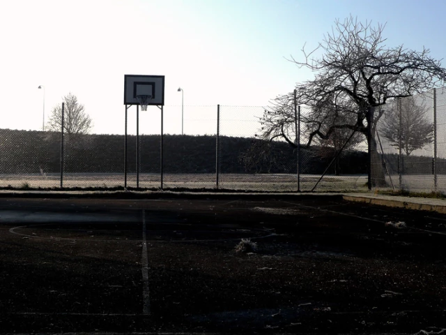 Profile of the basketball court Uldum Court, Uldum, Denmark