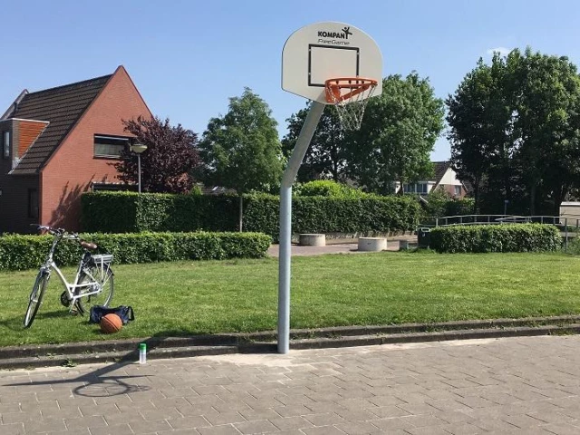 Profile of the basketball court Buitenwoel, Veendam, Netherlands