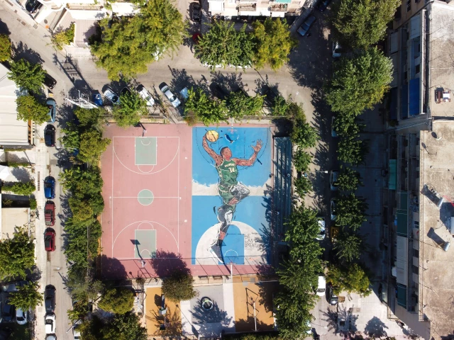 GIANNIS ANTETOKOUMBO Basketball Court