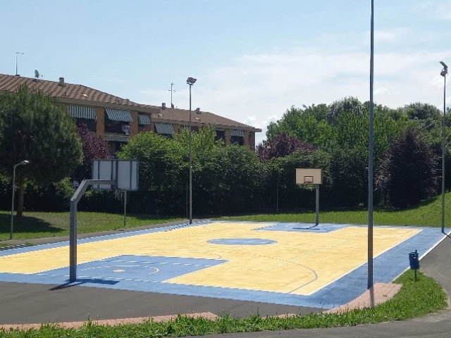 Profile of the basketball court Grande Torino, Leini, Italy