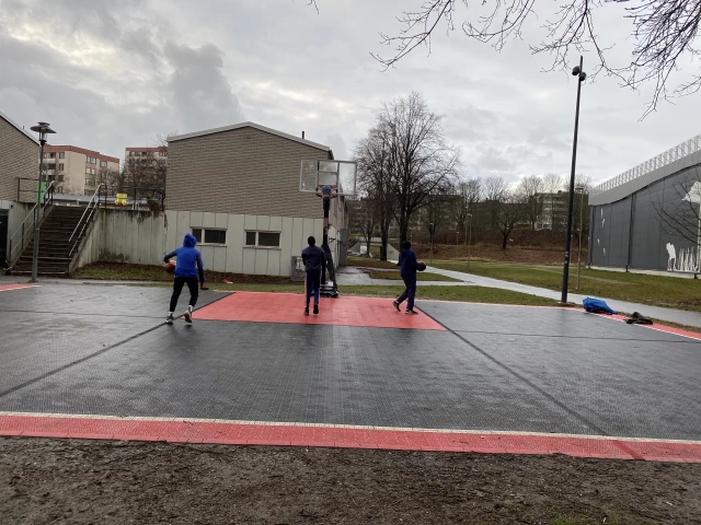 Bergo Basketball Court
