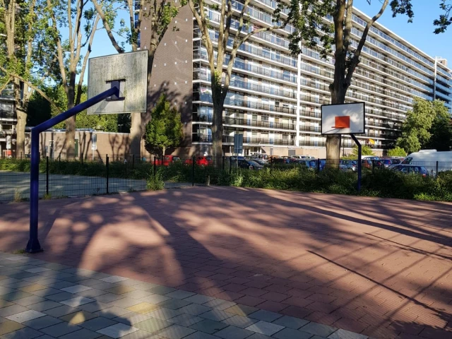 Profile of the basketball court Kameleon, Vlaardingen, Netherlands