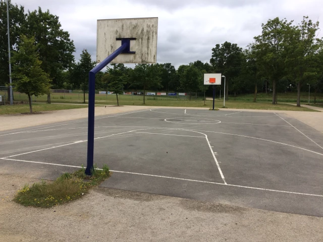 Profile of the basketball court Vliegende Vaart, Terneuzen, Netherlands