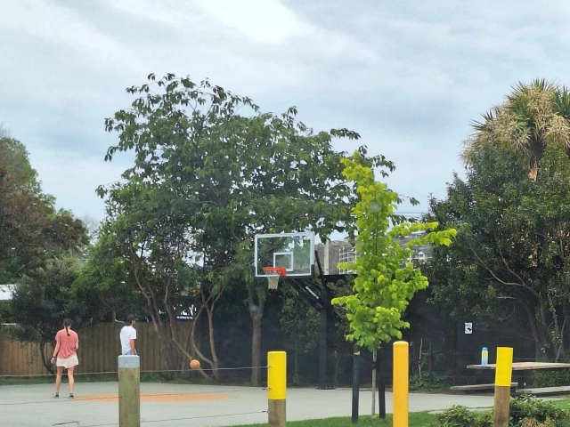 Profile of the basketball court Bathgate Park, Dunedin, New Zealand