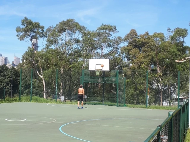 Profile of the basketball court Mort Bay Park Full Court, Birchgrove, Australia